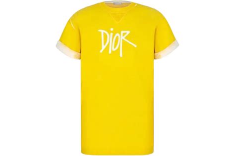 Dior And Shawn Oversized Logo T